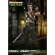 DreamEX 1/6th Ninja Turtles Casey Jones 30 cm